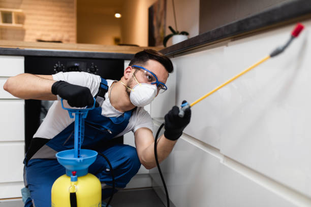 Best Best Pest Control Companies  in Edwardsvle, IL