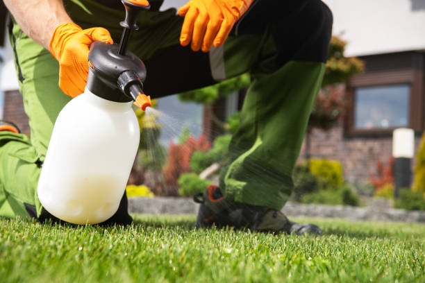 Professional Pest Control in Edwardsville, IL