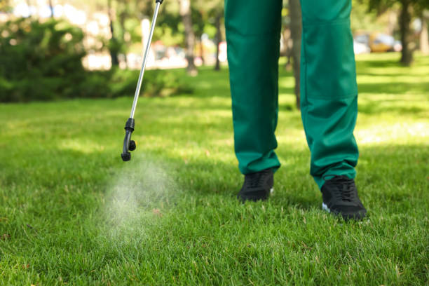 Best Residential Pest Control  in Edwardsvle, IL