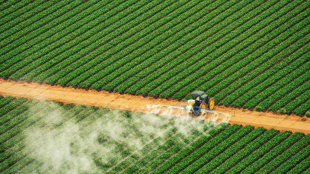 Best Mosquito Control Services  in Edwardsvle, IL