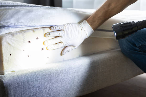 Best Pest Removal Services  in Edwardsvle, IL