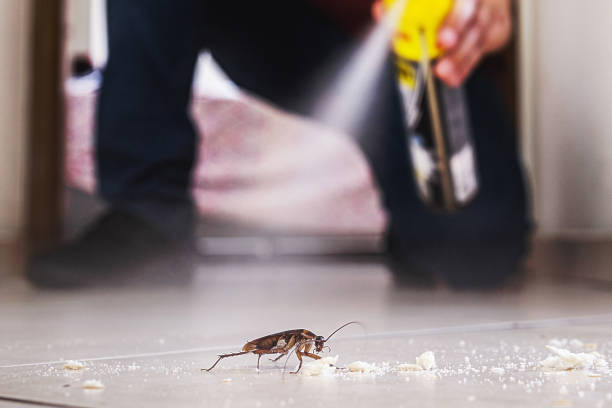 Best Exterminator Services  in Edwardsvle, IL